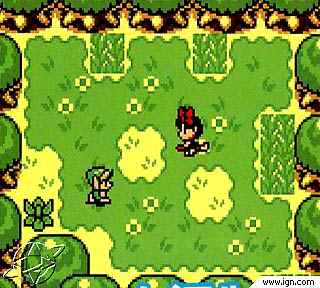 Bild kann nicht angezeigt werden.