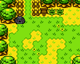 Bild kann nicht angezeigt werden